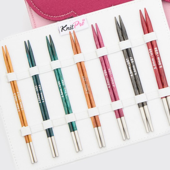 KnitPro Dreamz Midi Değiştirilebilir Misinalı Şiş Seti – 13 cm
